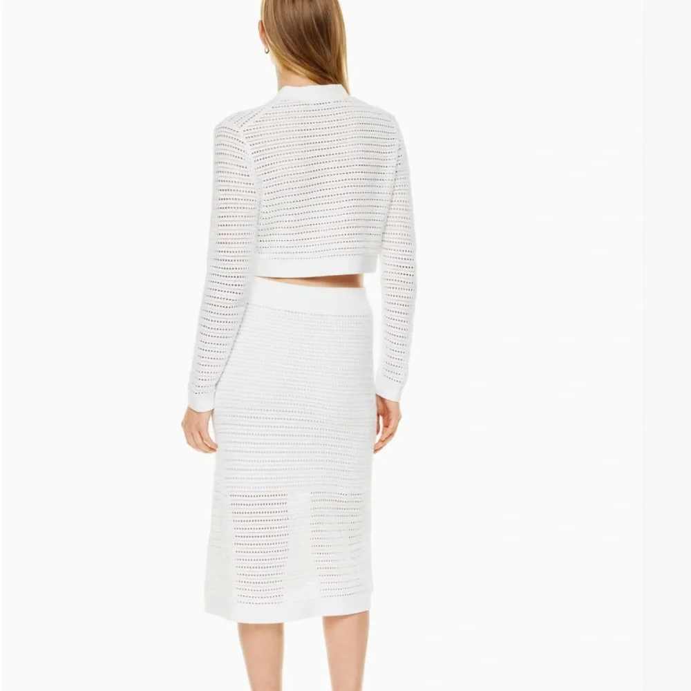 NWT Babaton Lattice Skirt